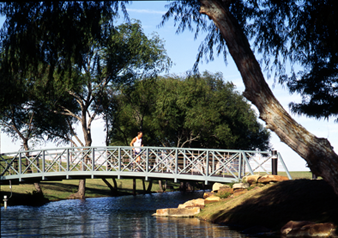 running trail -- bridge
