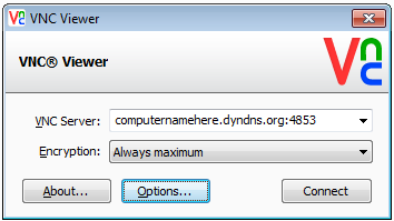 vnc.viewer.initial.screen.png