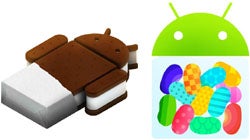 Android ICS, Jelly Bean