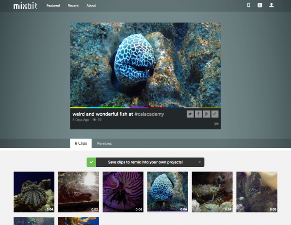 screenshot_web_view.png