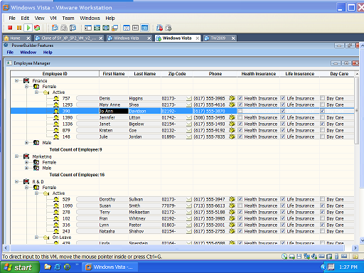 Updateable Grid TreeView DataWindow 01 sm.png