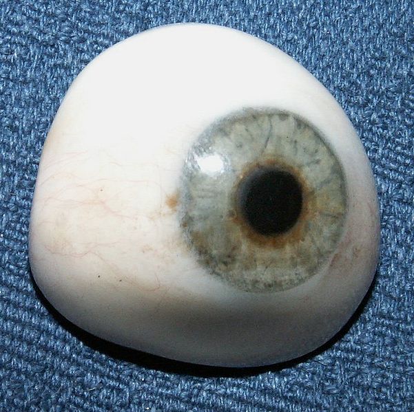 fig-1-eyeball.jpg