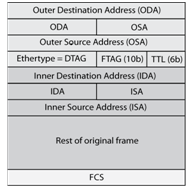 L2MP Frame Format