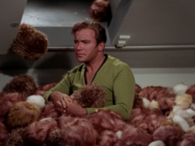 Expense In Depth And The Trouble With The Tribbles