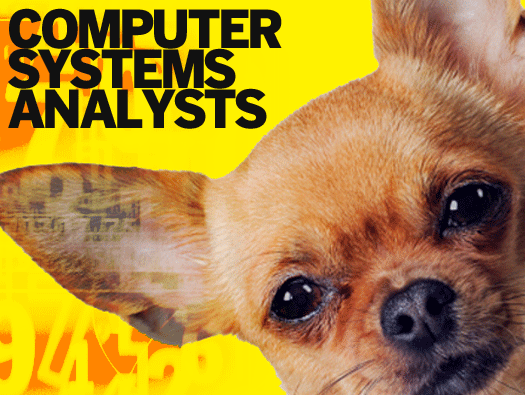Computer Systems Analysts 