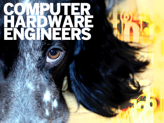 Computer Hardware Engineers