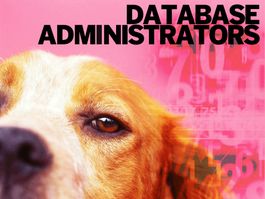 Database Administrators