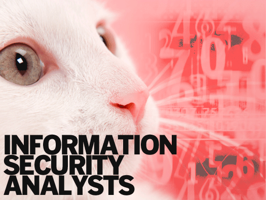 Information Security Analysts