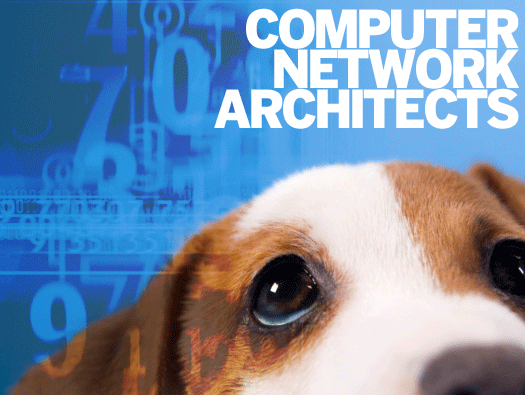 Computer Network Architects