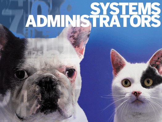 Network and Computer Systems Administrators
