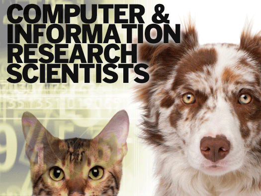Computer and Information Research Scientists 
