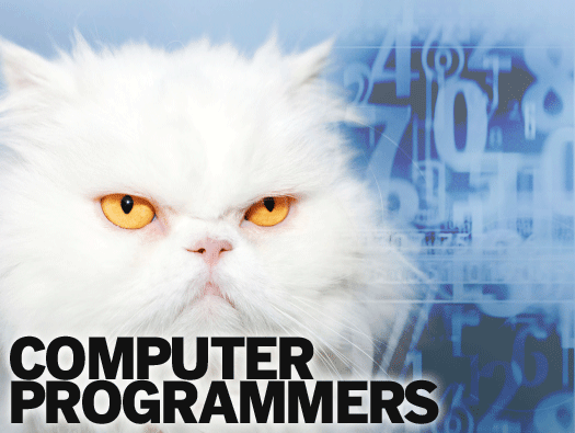 Computer Programmers 