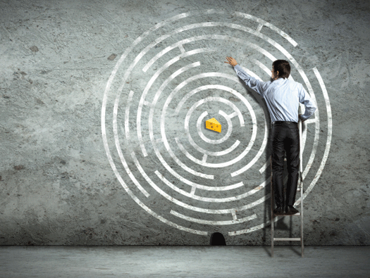 Chart a Career Path