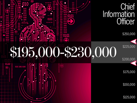 CIO - Chief Information Officer