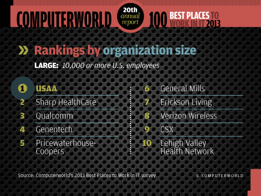 Rankings by size: Top 10 large organizations