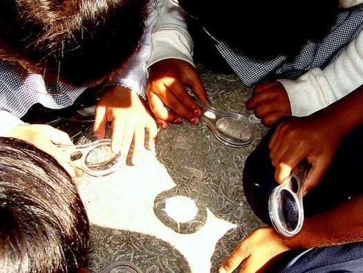 looking for fossils