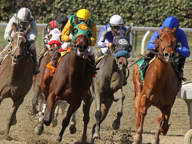Down at the Racetrack
