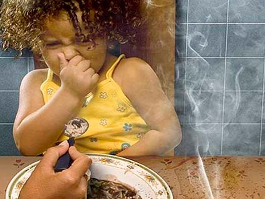 Second hand smoke essay