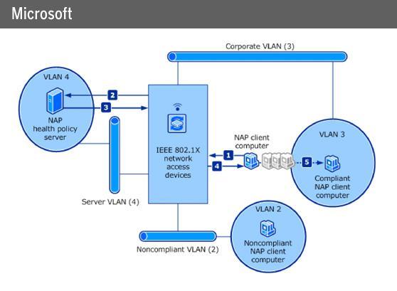 Network ms