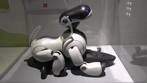 Original Sony Aibo on display
